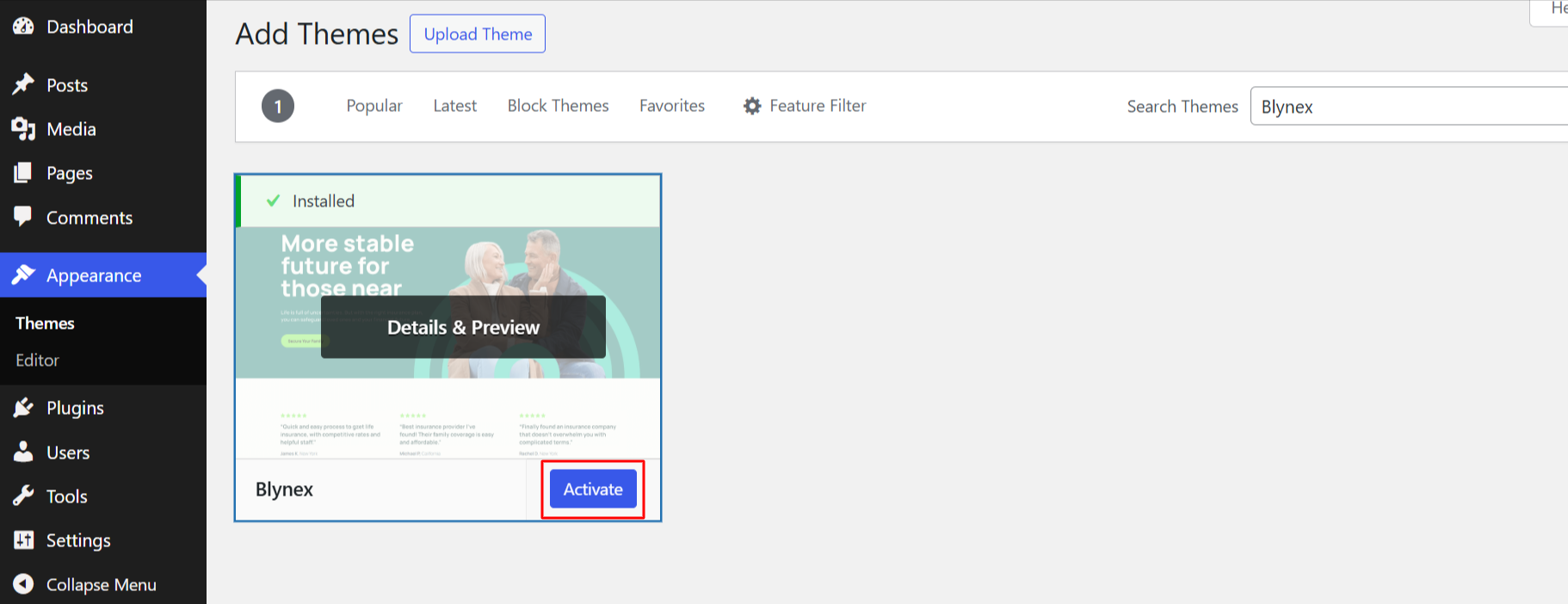 Step 5.1: Choosing a Theme illustration 5